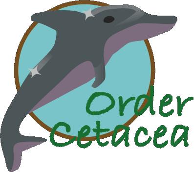 Order Cetacea logo